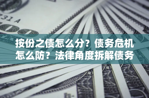 北京按份之债怎么分？债务危机怎么防？法律角度拆解债务分配与风险自保指南