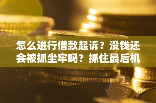 北京怎么进行借款起诉？没钱还会被抓坐牢吗？抓住最后机会！