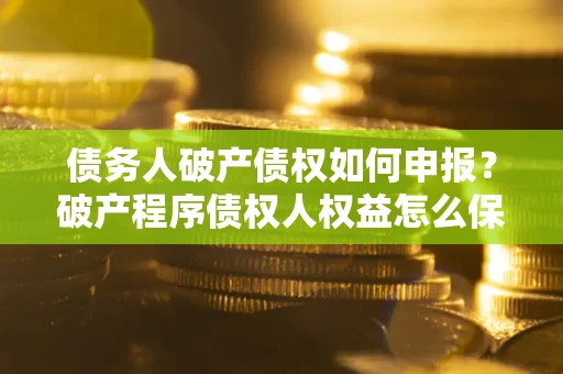 北京债务人破产债权如何申报？破产程序债权人权益怎么保障？
