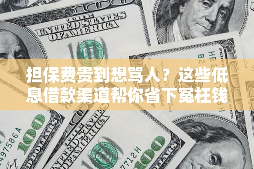 北京担保费贵到想骂人？这些低息借款渠道帮你省下冤枉钱