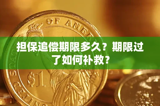 北京担保追偿期限多久？期限过了如何补救？