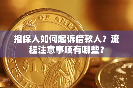北京担保人如何起诉借款人？流程注意事项有哪些？